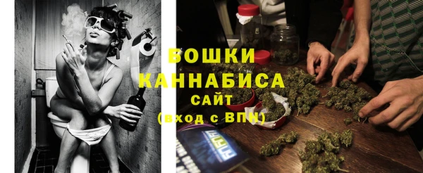 прущие грибы Вязьма